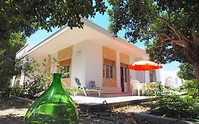 Villa Flora